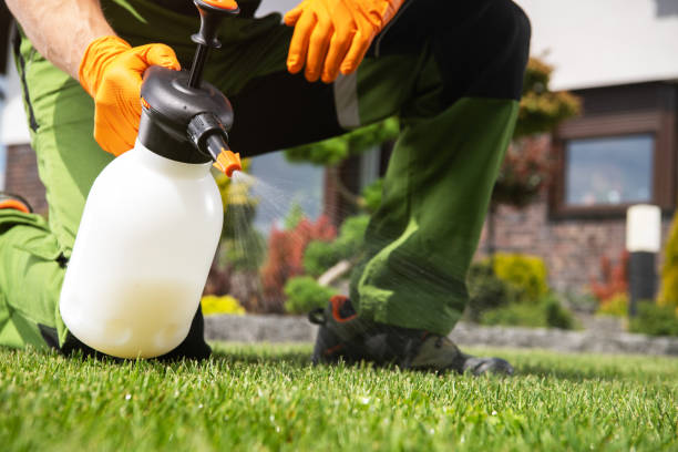 Bird Control in Fort Leonard Wood, MO