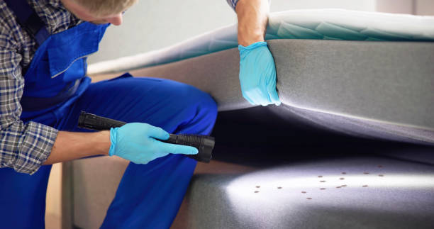 Best Ant Control Services  in Fort Leonard Wood, MO