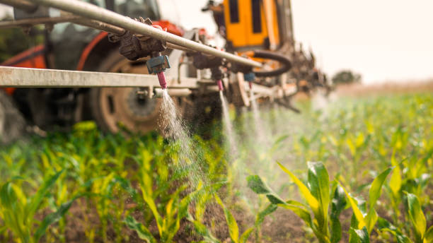 Best Commercial Pest Control Services  in Fort Leonard Wood, MO